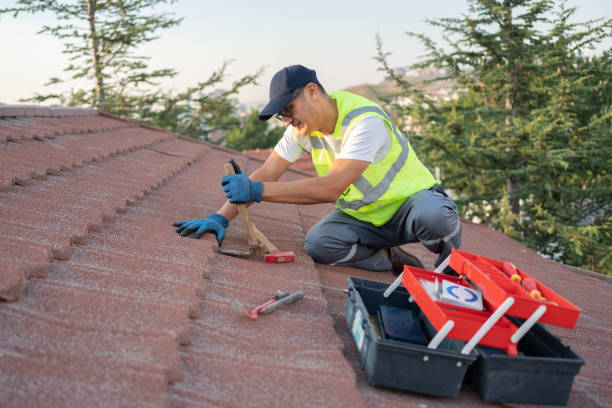 Roof Gutter Cleaning in Midway, NC
